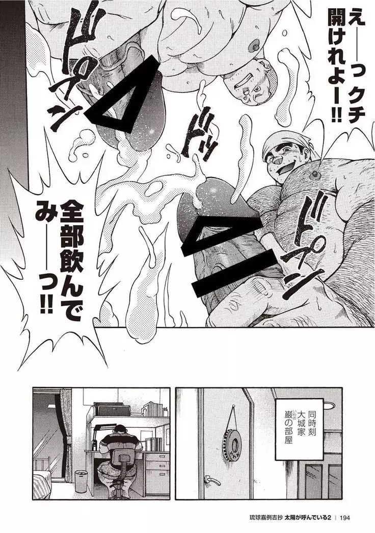 Taiyou ga Yonde Iru 2