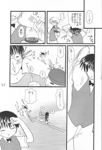 (CR29) [VENOM, ElectromagneticWave (various)] WILD FLOWERS (Kanon)
