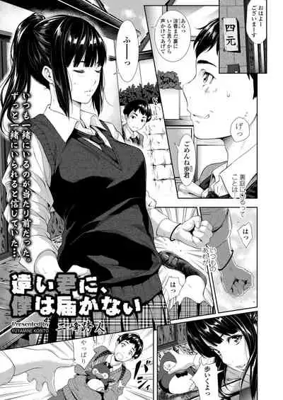 COMIC AOHA 2019 Fuyu