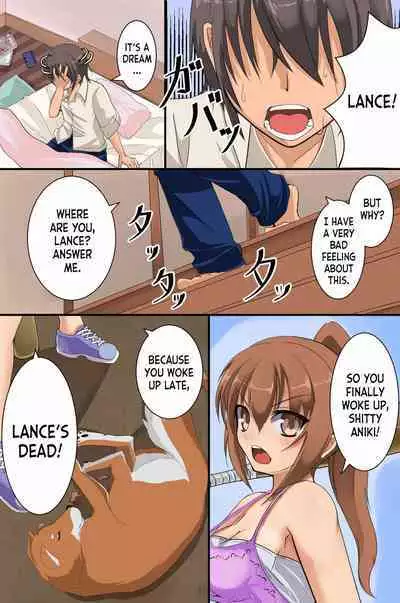 Mesu Inu Harem