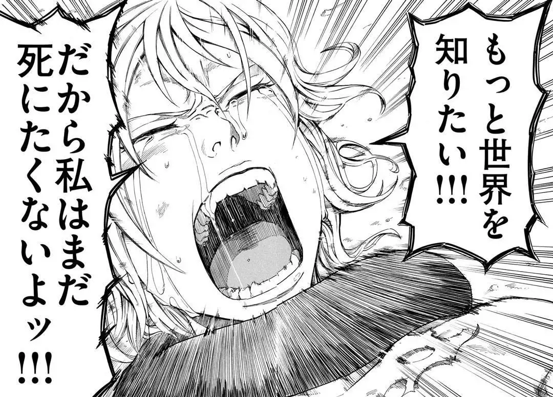 Mad Chimera World