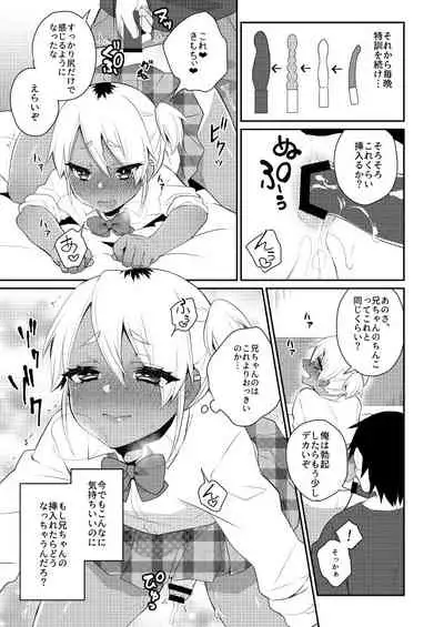 Mezase!! Nii-chan Senyou Bitch Gal