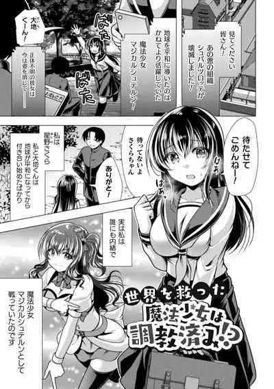 Mahou Shoujo ga Ochiru made - Until the Magical Girl Falls