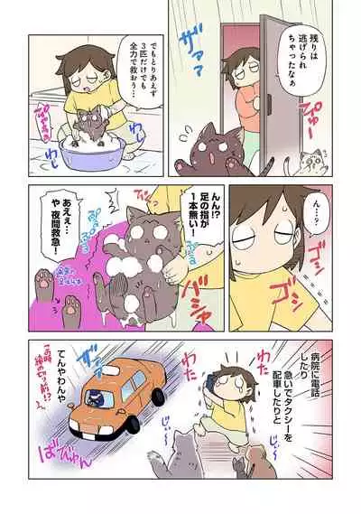 COMIC Ananga Ranga Vol. 81