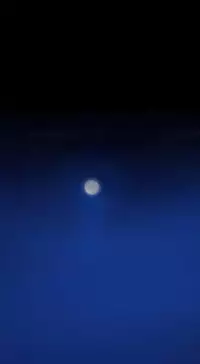 Missing Ch.1-11 (English) (Ongoing)