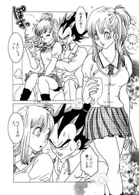MOEBON BALL KAI (Dragonball Z) [Vegeta X Bulma]