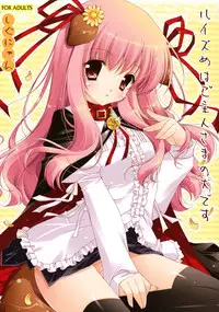 (C74) [Shigunyan] Louise Wa Goshujin Sama No Inu Desu (Zero No Tsukaima)