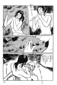 [Koike Kazuo, Kojima Goseki] Hanzou no Mon Vol.12