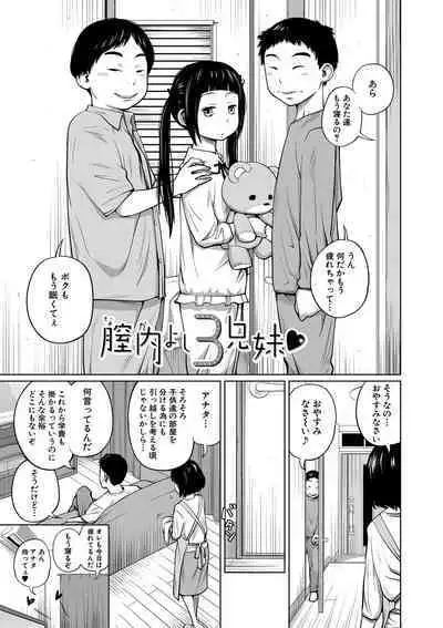 Imouto Access - Sister Access