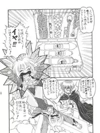 (C54) [Himawari Endan (Chunrouzan, Gakimagari)] BTB-23 DOUBLE INCOME (Lost Universe)