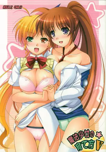 [K-Drive (Narutaki Shin)] Sayonara Mahou Shoujo (Mahou Shoujo Lyrical Nanoha) [Digital]