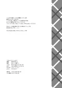 [Haruiro Fudepen (Satsuki Suzuran)] Nanto Naisho no (Senki Zesshou Symphogear) [Digital]