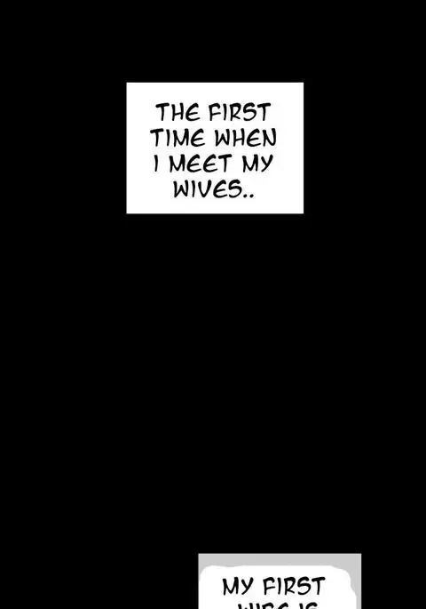 My Wives Ch.1-27