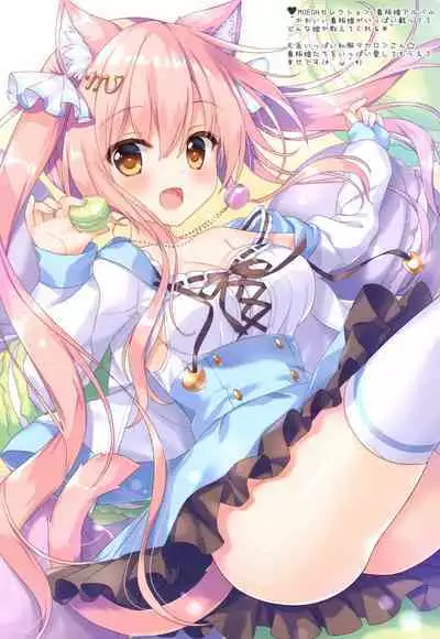 AME NOCHI COLORS 06