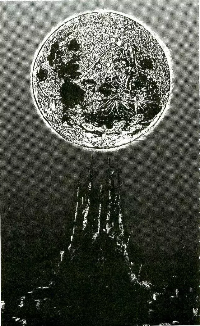 Vampire Madonna