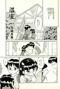 [Sanezaki Tsukiuo] Inran Futago Shimai