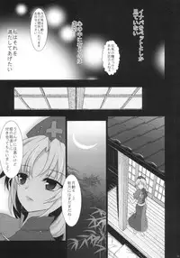 (C82) [Kuma-tan Flash! (Hanao.)] 2010-2011 Matome Bon 2 (Touhou Project)