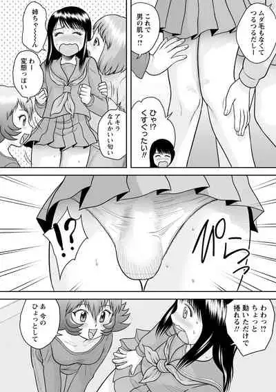Fudeoroshi Harem Dairankou