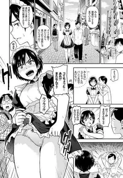 Nikutai Gohoushi ga Daisukikei Maid Vol.2