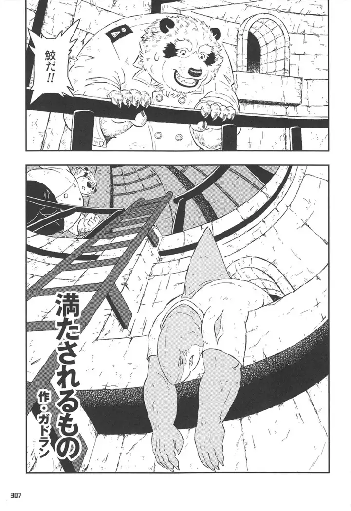 Kumabon San