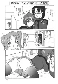 [Kyapa CITY (Torai Ryuu)] Yureru Omoi (Gundam SEED DESTINY) [Digital]