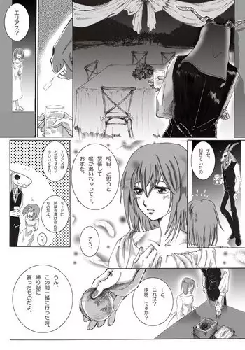 Mahoutsukai to Ninki no Hiketsu