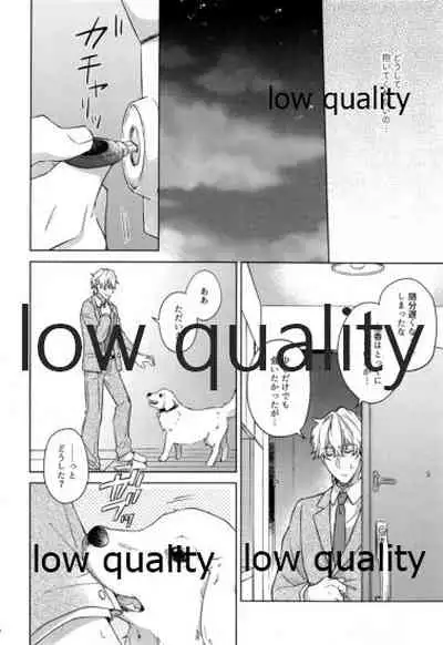 Sakura no Koi