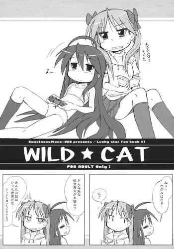 (C73) [Kanmidokoro USB (Furiri)] TIGER CAT (Lucky☆Star)