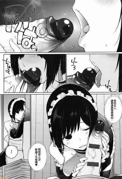Houshi Shuzoku ga Yattekita!