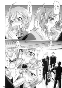 (C68) [DIGITAL ACCEL WORKS (INAZUMA.)] Super Freedom (Gundam SEED DESTINY)