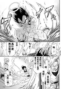 [Dokugunryu (Komakawa Rimi)] MONSTRUO (Dragon Ball Z) [Chinese]