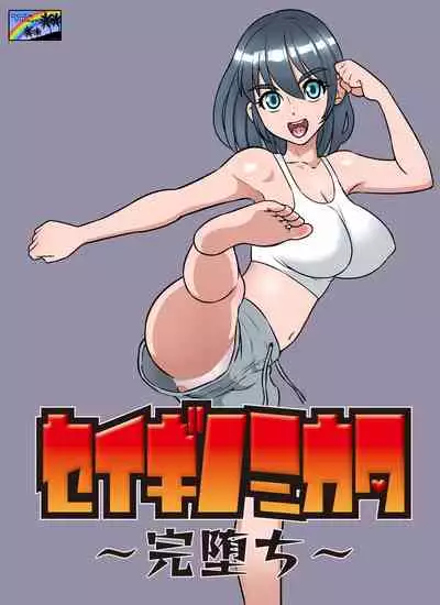 Seigi no Mikata