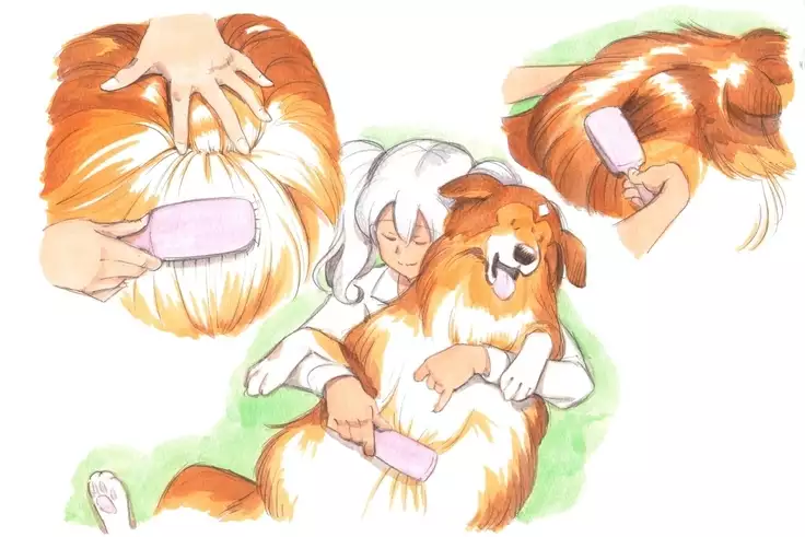 Himitsu no Inukko Club Sweet | The Secret Puppy Club Sweet