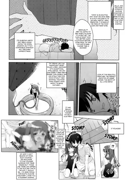 Imouto to Natsuyasumi | Summer holidays with my little sister