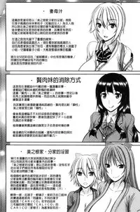 [Kamiishi Nyny] Shimai Seikou Inshuu [Chinese]