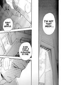 (C71) [cinnamon (Macho)] Ano Ora no Mukou (Final Fantasy XII) [English]