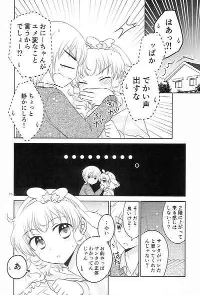 (C95) [Ika] Santa-san ni Onegai! (PriPara)