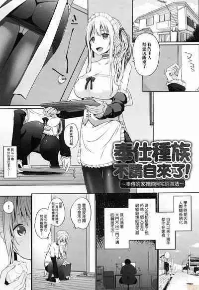 Houshi Shuzoku ga Yattekita!