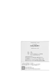 (C84) [Kougeki (Ootsuki Wataru)] Hashihime Mizugi! (Touhou Project)