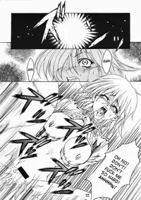 [FAKESTAR (Miharu)] CHAOS STEP (Hellsing) [English] [SaHa]