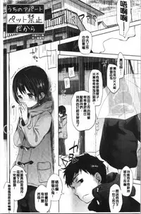 Shishunki no Kokoro