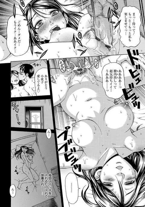 Mesuinu Catalog Choukyou Inpu