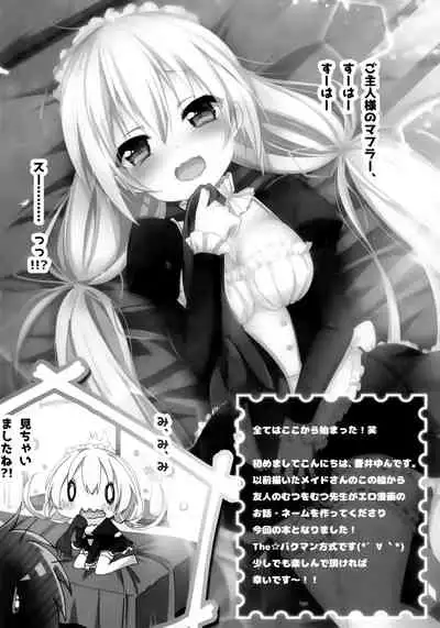 Gohoushi Maid