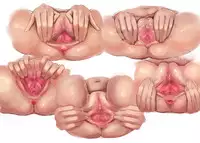 [Circle Ohigetan (Ohigetan)] Ohigebon Dejitaru - 01 Seifuku Hame! Burumahame! Sukusui Hame!